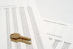 Amortization Schedule | Learn More