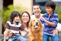 USDA Loans | Welcome to Gilbert